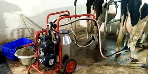 Mašina za mužu: recenzije vlasnika